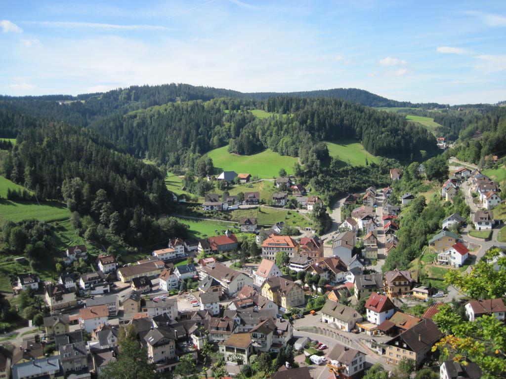 Appartementhaus Schwarzwaldblick Lauterbach  Exterior foto